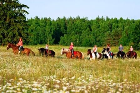 Більше природи відпочинку в Латвії: зоопарки, дика фауна, ферми, кінні прогулянки