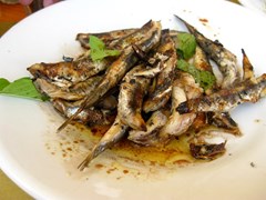 small-grilled anchovy