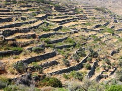 05_Terraces-on-the-slopes-of-the-arid-landscape-of-the-island-of-Tinos,-Greece