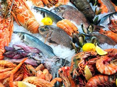 small-Fresh seafood photographed in fish market