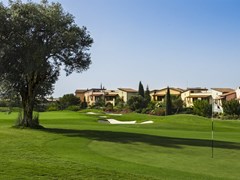 Golf Houses Olive Tree