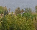 Seatanbul Guest House