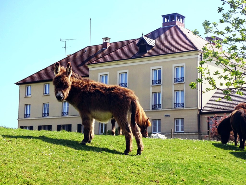 Campanile Val de France (Ex Kyriad Disneyland)