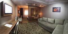 Delta Hotel Istanbul - photo 8