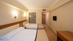 Prestige Hotel Istanbul - photo 102