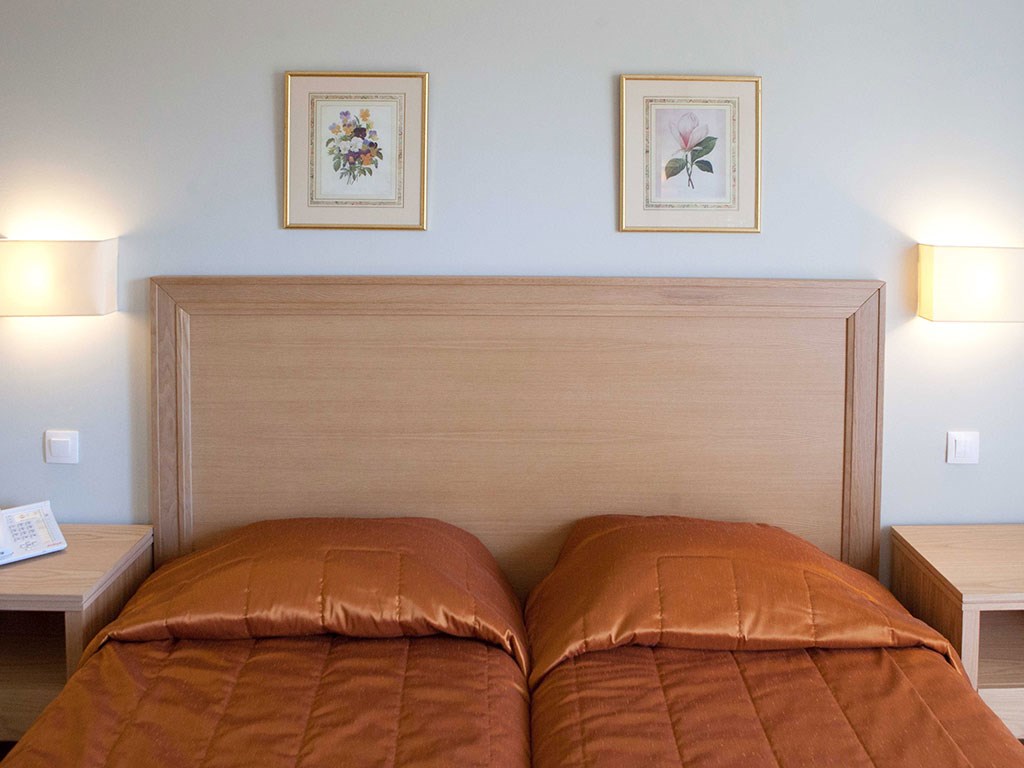 Delfinia Corfu Hotel: Double Room