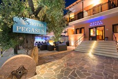 Pegasus Hotel - photo 1