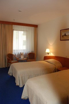 Ambassador Hotel: Room TWIN STANDARD - photo 56