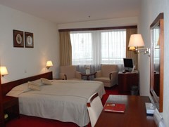 Ambassador Hotel: Room DOUBLE SINGLE USE SUPERIOR - photo 75