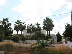 Villa Palm - photo 2