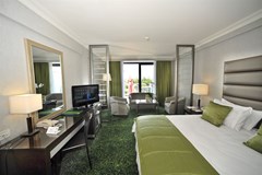 Radisson Blu Park Hotel : Business Room - photo 28