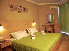 Alkionis Hotel: Double Room - photo 8
