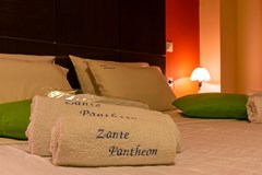 Pantheon Hotel - photo 23