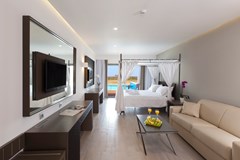 Princess Andriana Resort & Spa: Room JUNIOR SUITE WITH PRIVATE POOL - photo 44