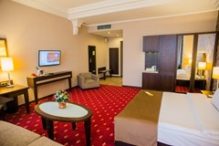Petro Palace Hotel: Room DOUBLE SINGLE USE DELUXE - photo 18