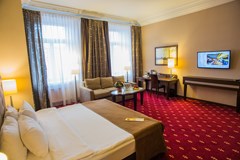 Petro Palace Hotel: Room DOUBLE SINGLE USE DELUXE - photo 19