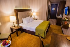 Petro Palace Hotel: Room DOUBLE SINGLE USE SUPERIOR - photo 29