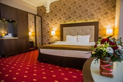 Petro Palace Hotel: Room DOUBLE SINGLE USE DELUXE - photo 38