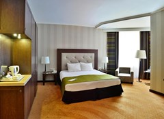 Petro Palace Hotel: Room DOUBLE EXECUTIVE - photo 43