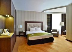 Petro Palace Hotel: Room - photo 2