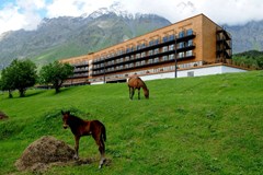Rooms Hotel Kazbegi - photo 4