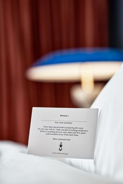 Athenswas: Room Double or Twin DELUXE - photo 41