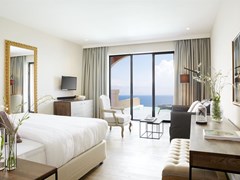 Marbella Nido Suite Hotel and Villas: Deluxe Junior Suites Private Pool - photo 23