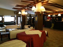 Lo Stambecco Hotel - photo 4