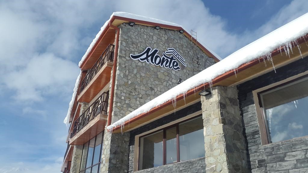 Monte Gudauri Hotel