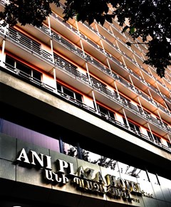 Ani Plaza Hotel - photo 8
