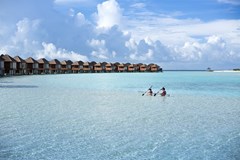 Anantara Dhigu Maldives Resort - photo 140