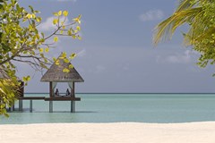 Anantara Dhigu Maldives Resort - photo 82