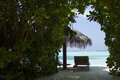 Anantara Dhigu Maldives Resort - photo 70