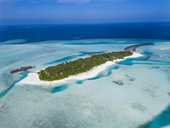 Anantara Dhigu Maldives Resort - photo 44