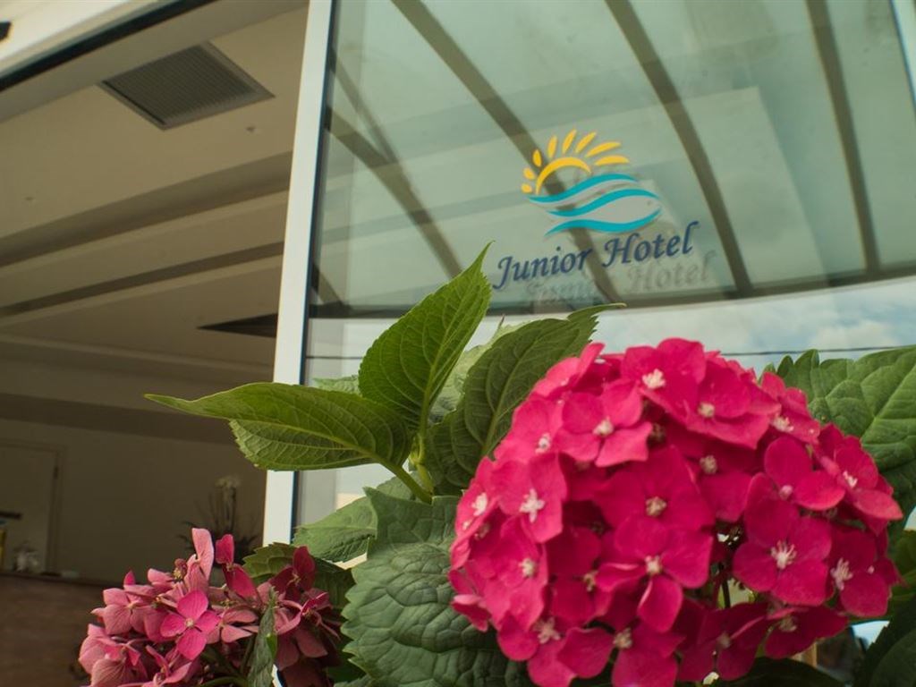 Junior Hotel