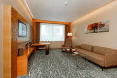 Holiday Inn Baku Hotel - photo 17