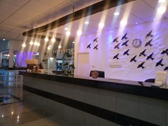 Amore Hotel Apartments - photo 4