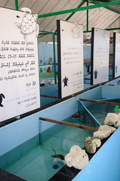 Kanuhura Maldives - photo 23