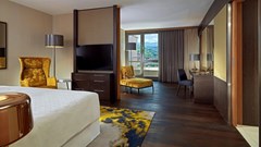 Sheraton Grand Tbilisi Metechi Palace - photo 35