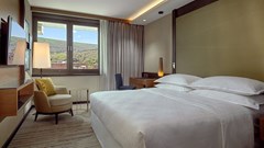 Sheraton Grand Tbilisi Metechi Palace - photo 20