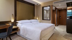 Sheraton Grand Tbilisi Metechi Palace - photo 25