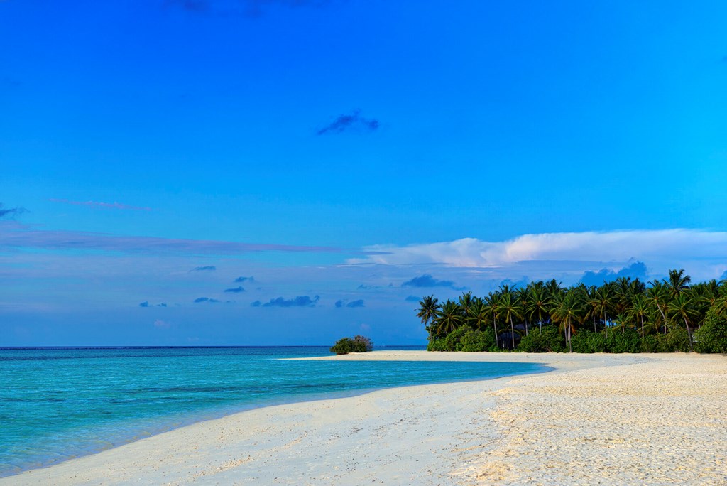 Cocoon Maldives: Beach