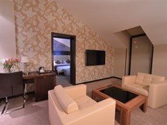 Vallex Garden Hotel - photo 2