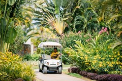 Four Seasons Resort Mauritius - photo 14