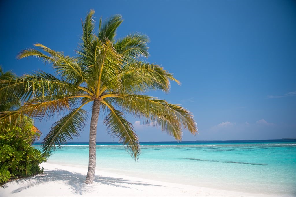 Coco Palm Dhuni Kolhu