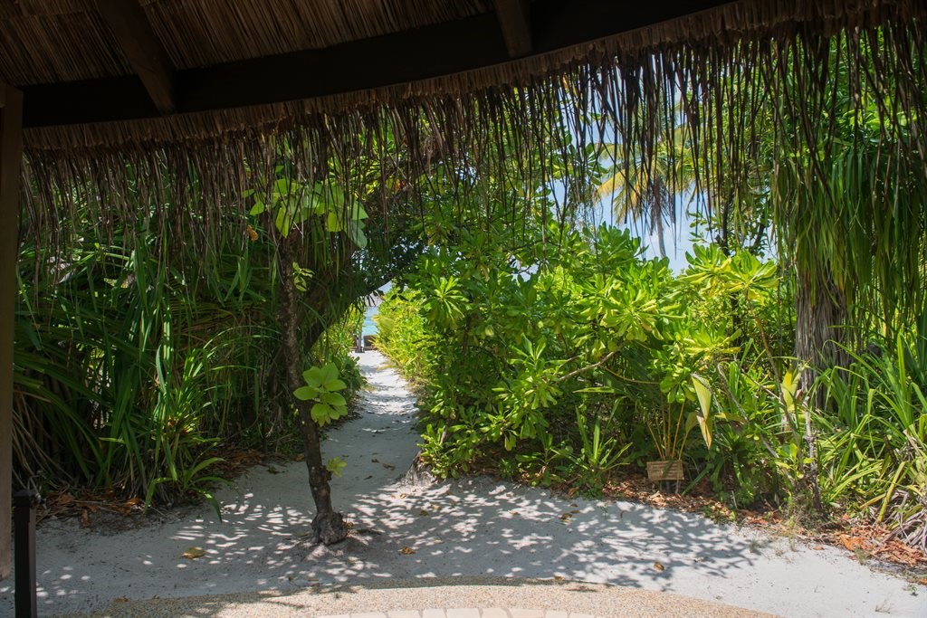 Coco Palm Dhuni Kolhu