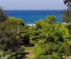 Palmyra Beach