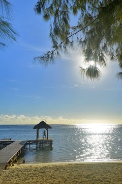 Hilton Mauritius Resort & Spa - photo 8