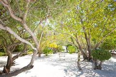 LUX* South Ari Atoll Resort & Villas - photo 15