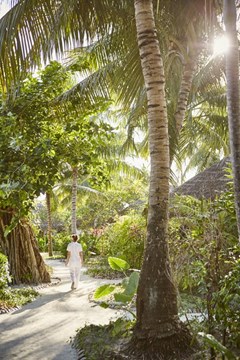 LUX* South Ari Atoll Resort & Villas - photo 31